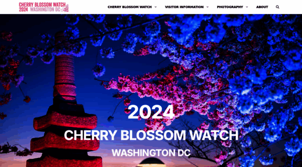 cherryblossomwatch.com