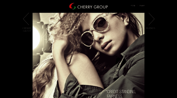 cherrygroupusa.com