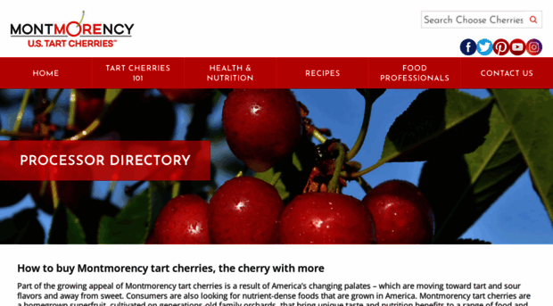 cherryprocessor.com