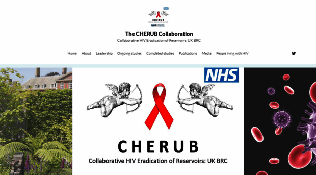 cherub.uk.net