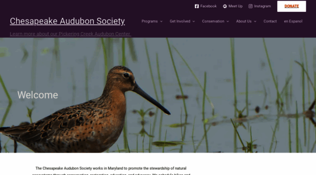 chesapeakeaudubon.org