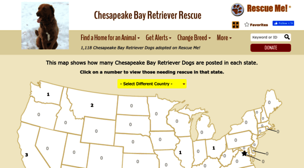 chesapeakebayretriever.rescueme.org