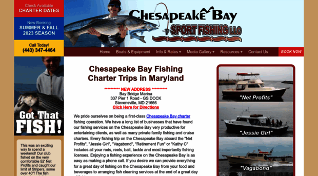 chesapeakebaysportfishing.com