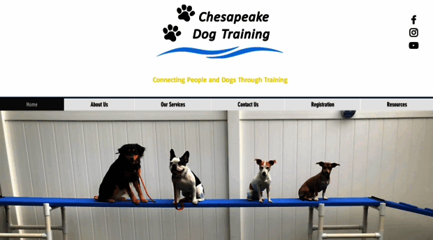 chesapeakedogtraining.net