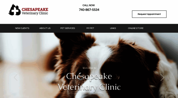 chesapeakevetclinic.com