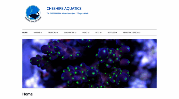 cheshireaquatics.co.uk