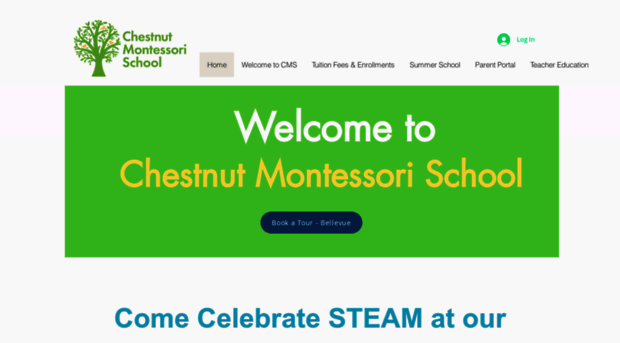 chestnutmontessori.com