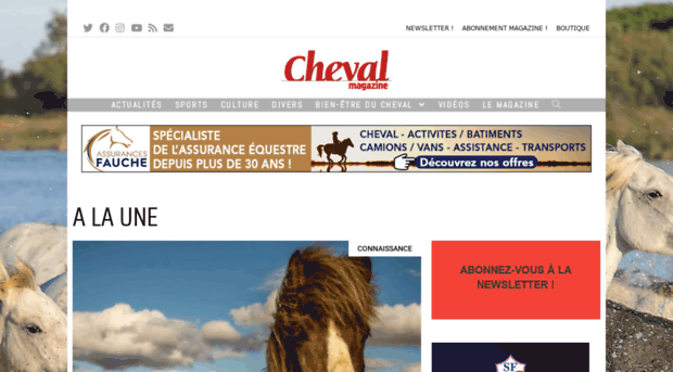 chevalpratique.fr