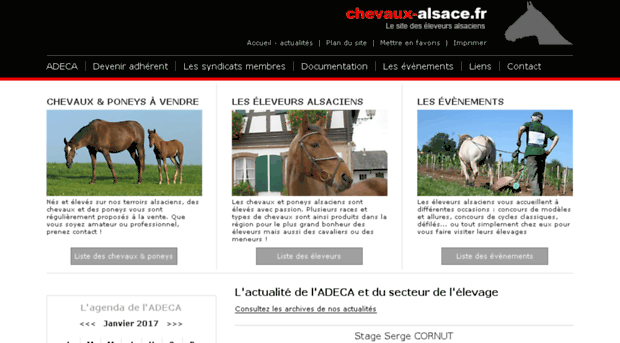 chevaux-alsace.com