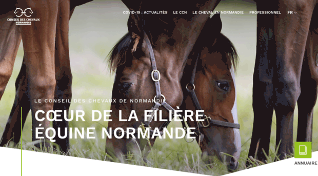 chevaux-normandie.com