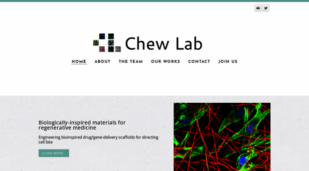 chewlab.weebly.com