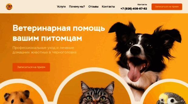 chg-vet.ru