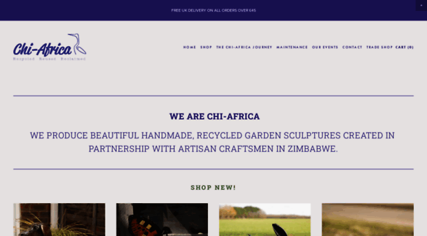 chi-africa.com