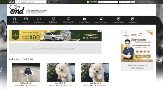 chiangmaidogs.com