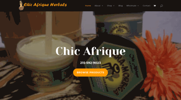 chicafrique.biz