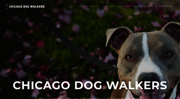 chicago-dogwalkers.com