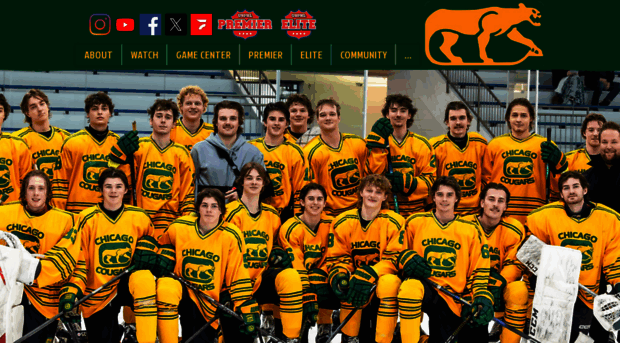 chicagocougarshockey.com