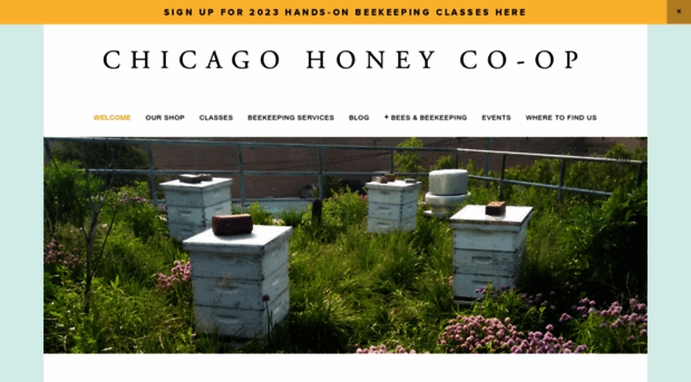 chicagohoneycoop.com