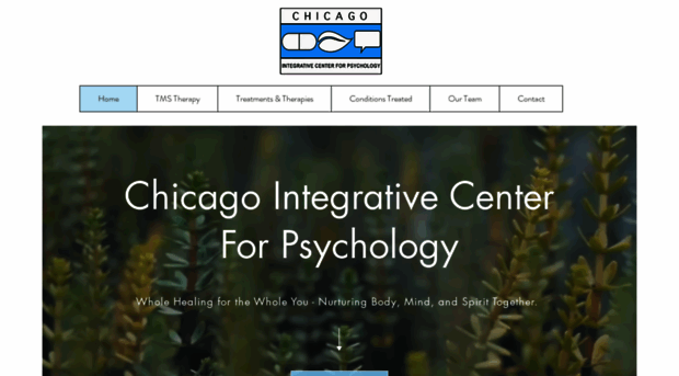 chicagointegrative.com