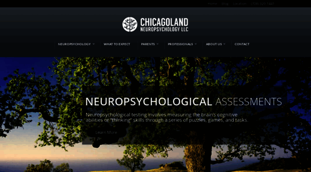 chicagolandneuropsychology.com