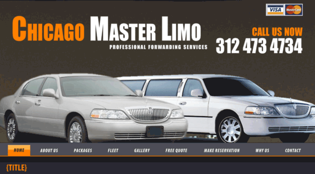 chicagomasterlimo.com