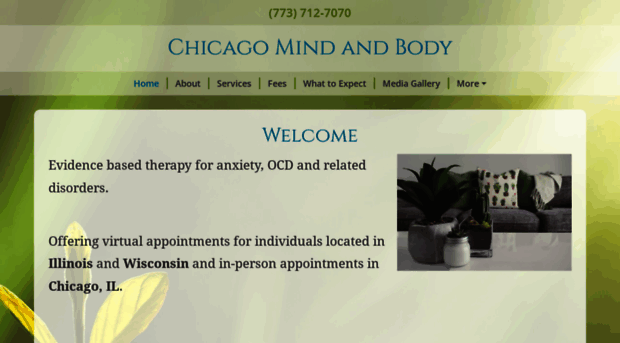 chicagomindandbody.com