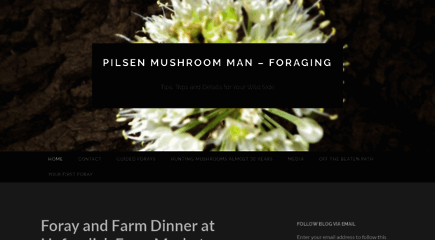 chicagomushroomman.wordpress.com