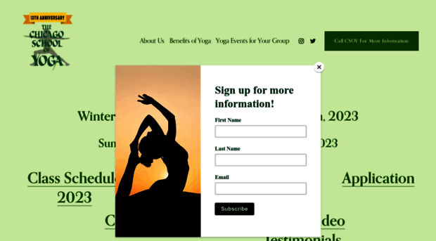 chicagoschoolofyoga.com