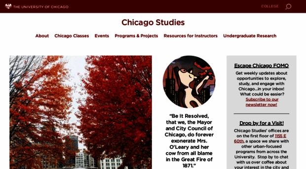 chicagostudies.uchicago.edu