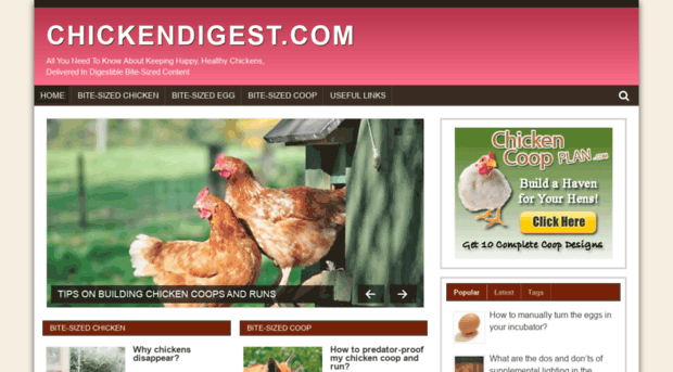 chickendigest.com