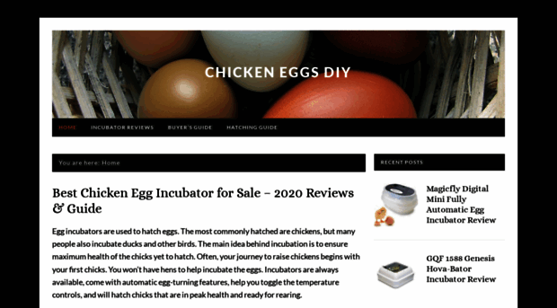 chickeneggincubatorforsale.com