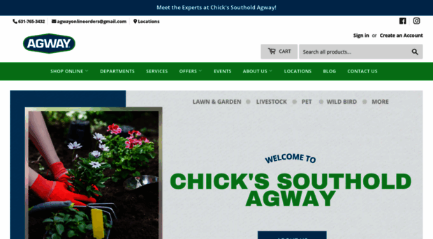 chicksagway.com