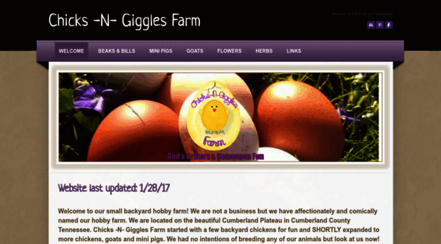chicksngigglesfarm.weebly.com