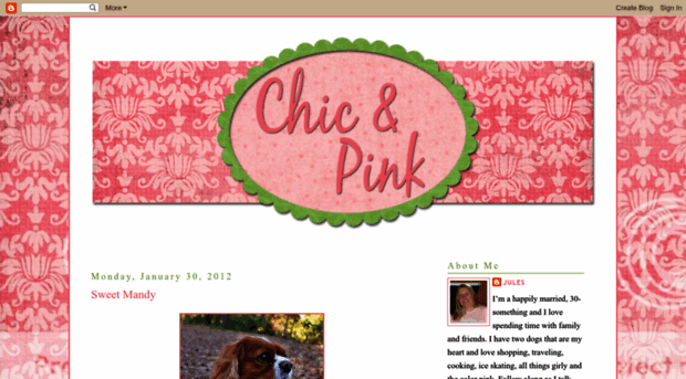 chicnpink.blogspot.com