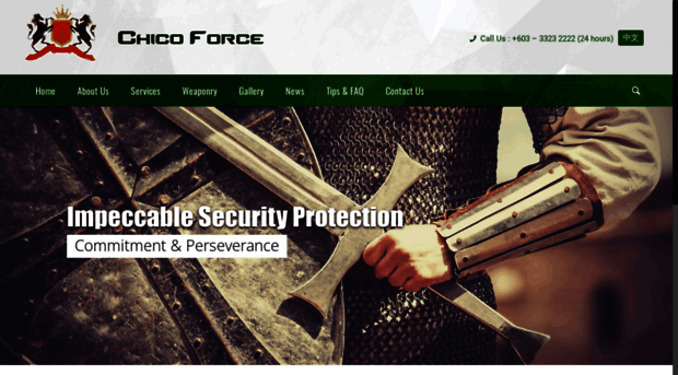 chicoforcesecurity.com