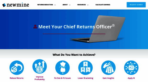 chiefreturnsofficer.com