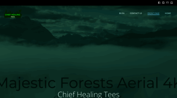 chiefshealingtees.com