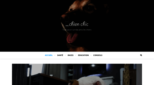 chien-chic.fr