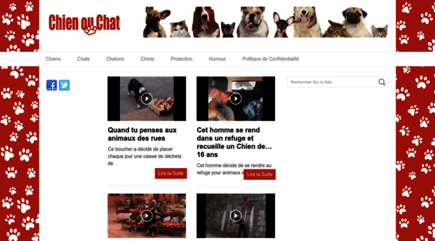 chien-ou-chat.com