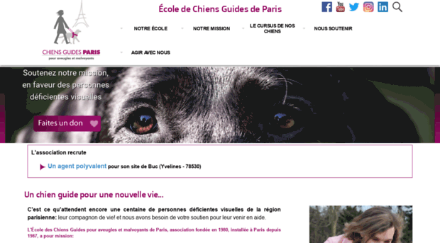 chiensguidesparis.fr