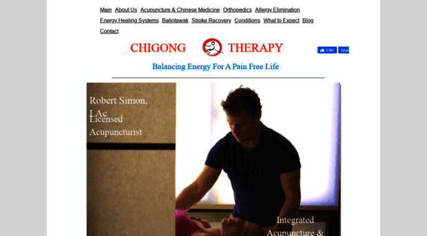 chigongtherapy.com