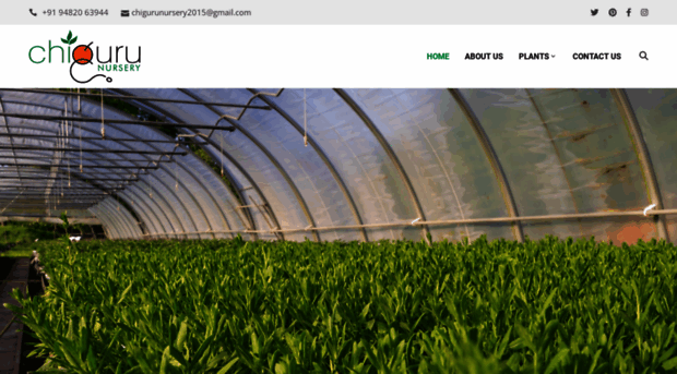 chigurunursery.in
