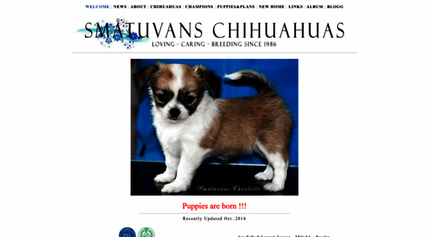 chihuahua-smatuvan.se