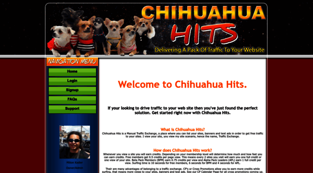 chihuahuahits.com