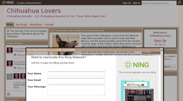 chihuahualovers.ning.com