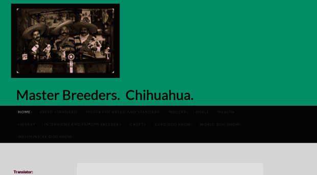 chihuahuaworld.jimdo.com