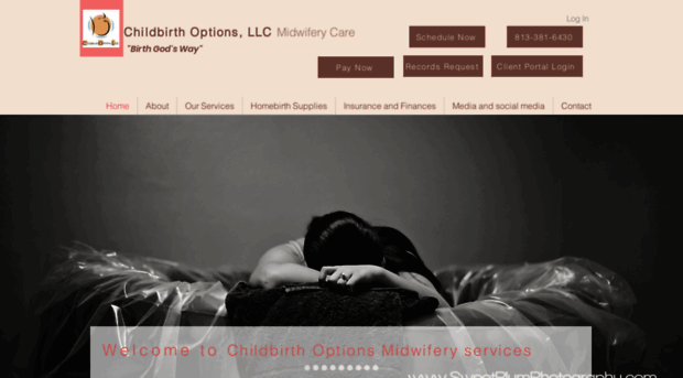 childbirthoptions.net