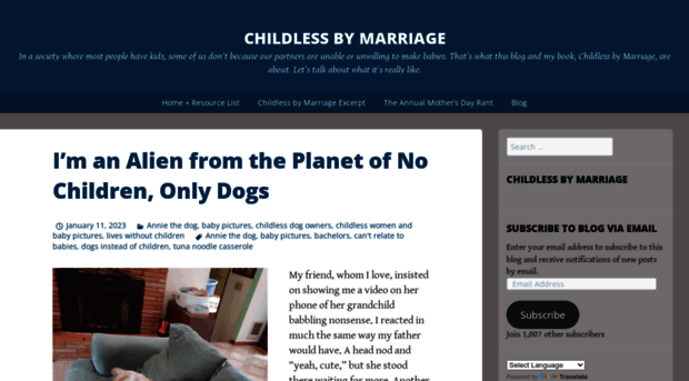 childlessbymarriageblog.com