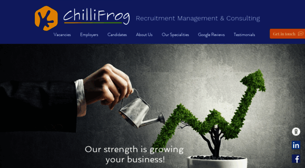 chillifrog.com