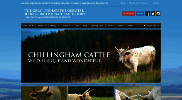 chillinghamwildcattle.com